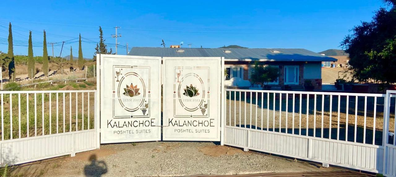 Kalanchoe Poshtel Suites Las Palmas  Zewnętrze zdjęcie