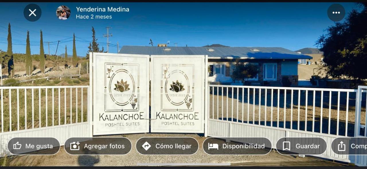 Kalanchoe Poshtel Suites Las Palmas  Zewnętrze zdjęcie