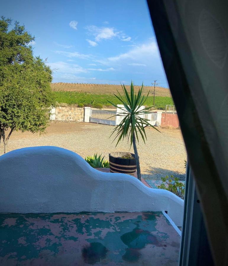 Kalanchoe Poshtel Suites Las Palmas  Zewnętrze zdjęcie